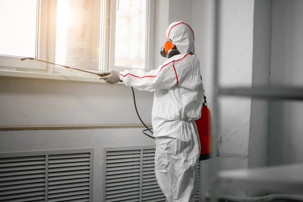 Professional mold remediation services in Verona, WI